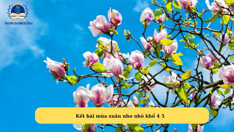 Kết bài mùa xuân nho nhỏ khổ 4 5