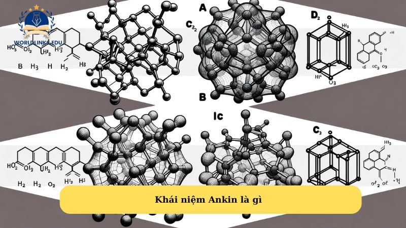 Khái niệm Ankin là gì