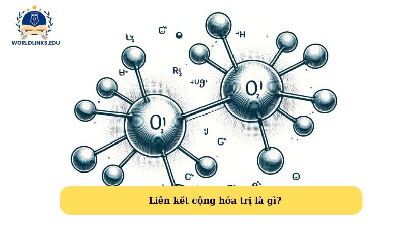 Liên kết cộng hóa trị là gì?