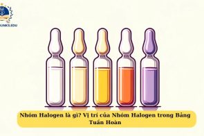 Lý thuyết khái quát về nhóm Halogen trong bảng tuần hoàn