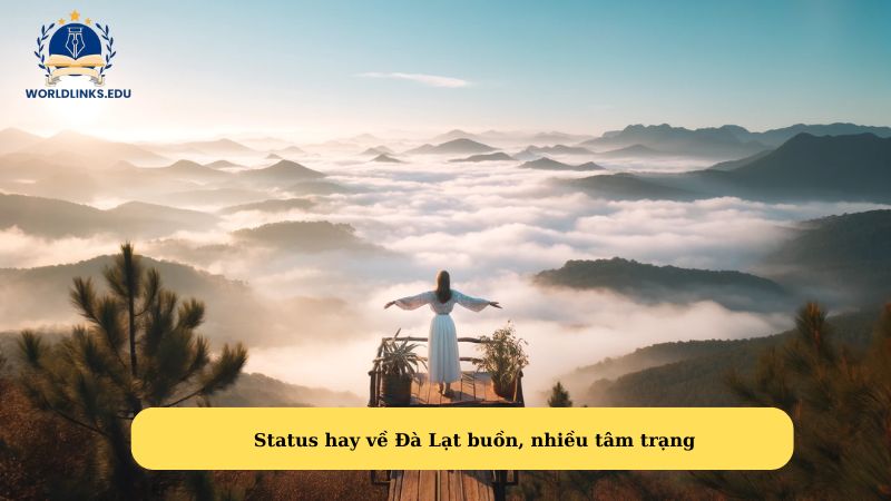 Status hay về Đà Lạt buồn, nhiều tâm trạng