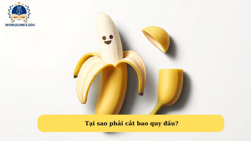 Tại sao phải cắt bao quy đầu?