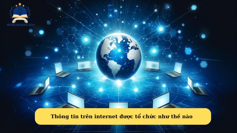 Thông tin trên internet được tổ chức như thế nào